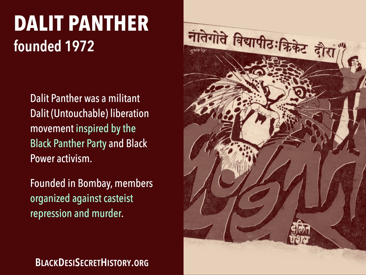 DALIT PANTHER, founded 1972: Dalit Panther was a militant Dalit (Untouchable) liberation movement inspired by the Black Panther Party and Black Power activism. Founded in Bombay, members organized against casteist repression and murder.